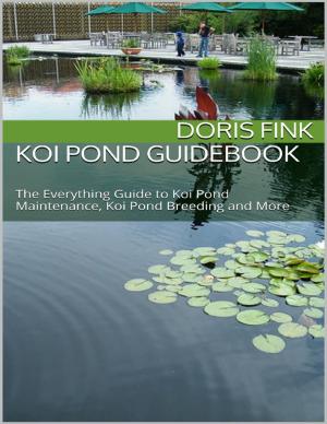 Cover of the book Koi Pond Guidebook: The Everything Guide to Koi Pond Maintenance, Koi Pond Breeding and More by Jamon Morrgan