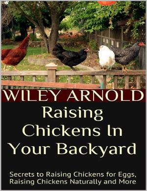 Cover of the book Raising Chickens In Your Backyard: Secrets to Raising Chickens for Eggs, Raising Chickens Naturally and More by Wilma Townsend
