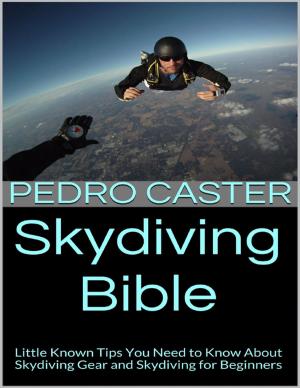 Cover of the book Skydiving Bible: Little Known Tips You Need to Know About Skydiving Gear and Skydiving for Beginners by Ololade Franklin
