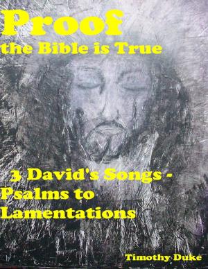 Cover of the book Proof the Bible Is True: 3 David's Songs - Psalms to Lamentations by Weihua Liu