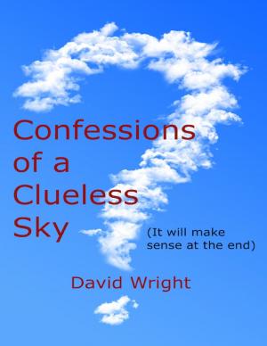 Cover of the book Confessions of a Clueless Sky: (It Will Make Sense At the End) by Paul Gwilliam