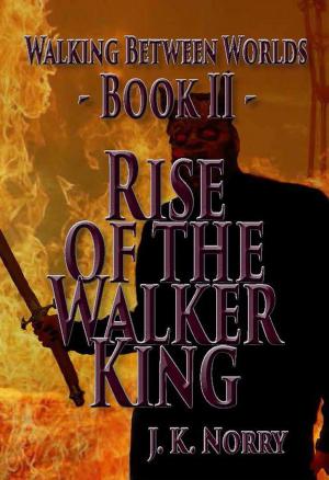 Book cover of Rise of the Walker King