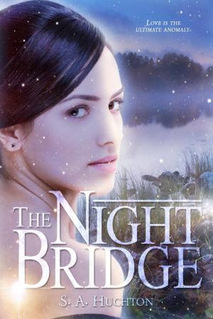 Cover of the book The Night Bridge by Starla Huchton