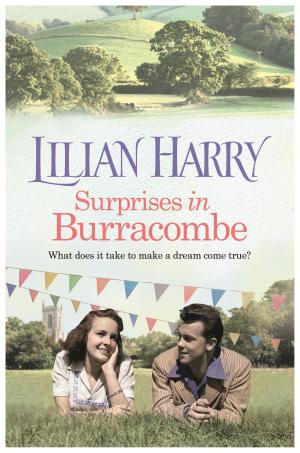 Book cover of Surprises in Burracombe