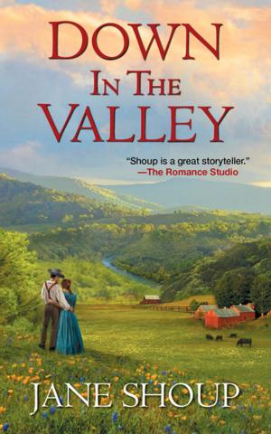 Book cover of Down In the Valley
