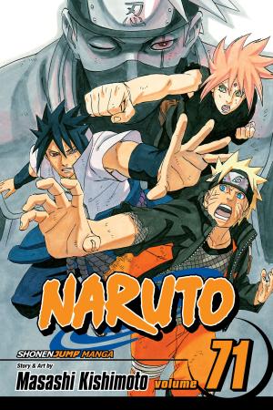 Book cover of Naruto, Vol. 71
