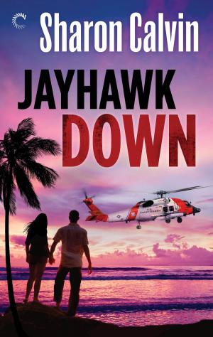 bigCover of the book Jayhawk Down by 