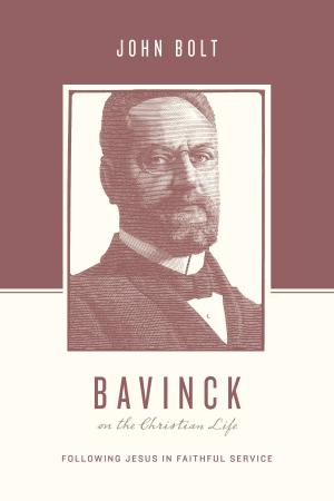 Cover of the book Bavinck on the Christian Life by Matt Chandler