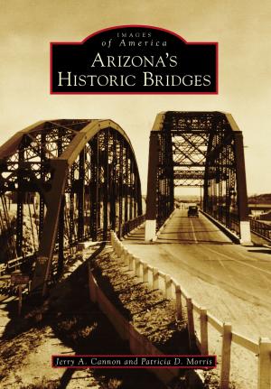 Cover of the book Arizona's Historic Bridges by Steve Krueger