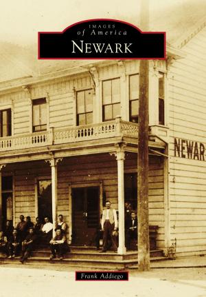Cover of the book Newark by Tony Baker
