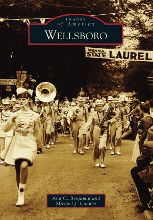 Cover of the book Wellsboro by Johanna Wickman