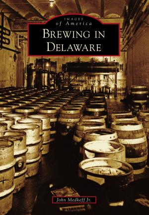 Cover of the book Brewing in Delaware by Roger P. Hadix