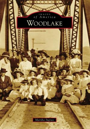 Cover of the book Woodlake by Vikki Tobak