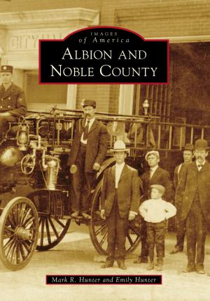 Cover of the book Albion and Noble County by Robert McLaughlin, Frank R. Adamo