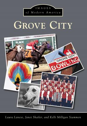 Book cover of Grove City