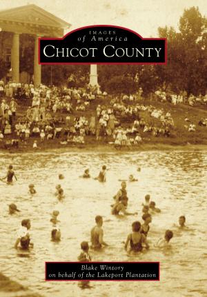 Cover of the book Chicot County by Rob Hicks, Alachua County Genealogical Society