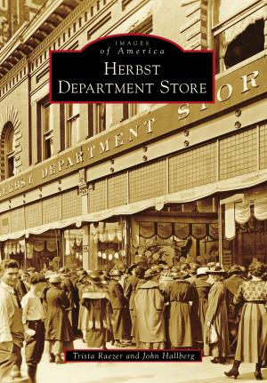 Cover of the book Herbst Department Store by Gary D. Joiner, John Andrew Prime