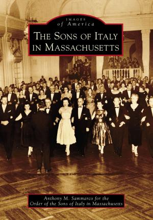 bigCover of the book The Sons of Italy in Massachusetts by 