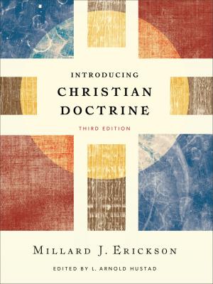 Book cover of Introducing Christian Doctrine