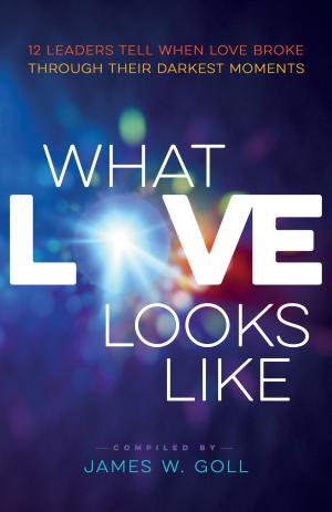 Cover of the book What Love Looks Like by Beverly Lewis