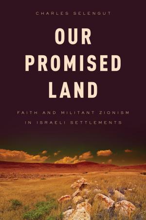 Cover of the book Our Promised Land by Peter Rutkoff