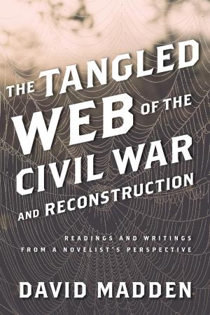 Cover of the book The Tangled Web of the Civil War and Reconstruction by John Ronsvalle, Sylvia Ronsvalle, U. Milo Kaufmann