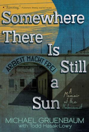Cover of the book Somewhere There Is Still a Sun by R.L. Stine