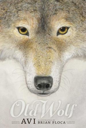 Cover of the book Old Wolf by Dean Hughes