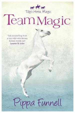 Cover of the book Team Magic by Keris Stainton