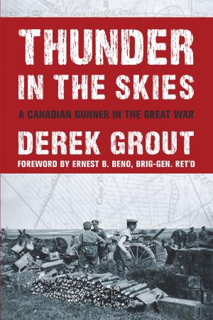 Cover of the book Thunder in the Skies by Paul Carroll