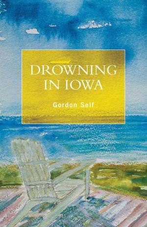 Cover of the book Drowning in Iowa by Adele DeGirolamo