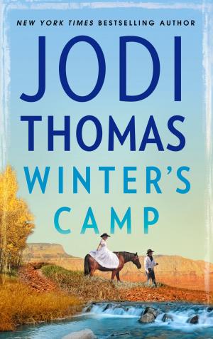 Book cover of Winter's Camp