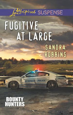 Cover of the book Fugitive at Large by Carolyn Haines