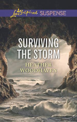 Cover of the book Surviving the Storm by Cindi Myers, Ryshia Kennie, Webb D./Black R.