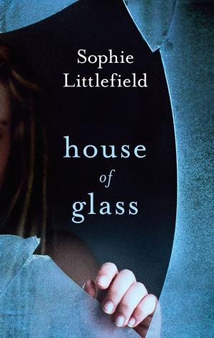 Cover of the book House of Glass by Barbara Taylor Sissel