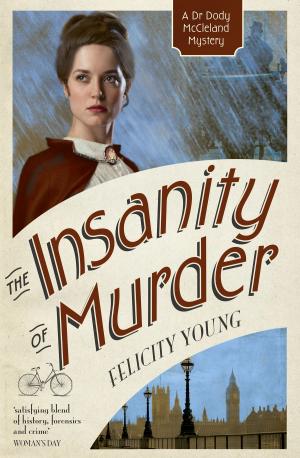 Cover of the book The Insanity of Murder by Matt McCredie