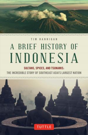 Cover of the book Brief History of Indonesia by Jerry Patterson