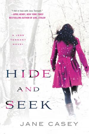 Cover of the book Hide and Seek by Joan Druett