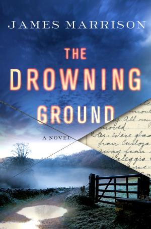 Cover of the book The Drowning Ground by David Rosenfelt