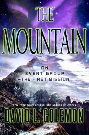 Cover of the book The Mountain by Roxanne Wyss, Kathy Moore