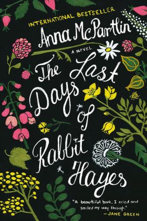 Book cover of The Last Days of Rabbit Hayes