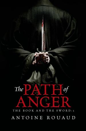 Cover of the book The Path of Anger by Scarlett Cole