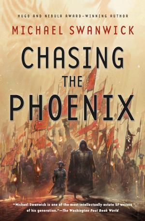 Cover of the book Chasing the Phoenix by Raelynn Hillhouse