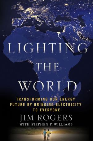 Cover of the book Lighting the World by Brian Clegg