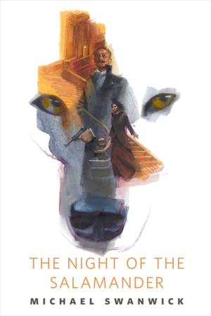 bigCover of the book The Night of the Salamander by 