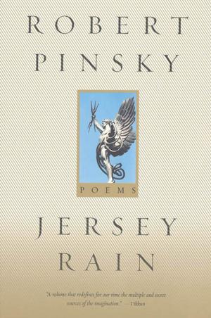 Cover of the book Jersey Rain by Adam Zagajewski