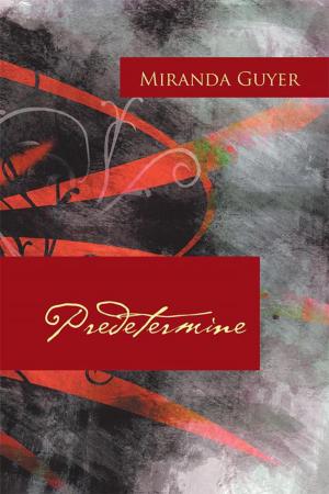 Cover of the book Predetermine by Robin Patir