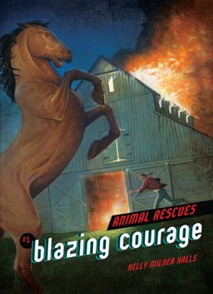 Cover of the book Blazing Courage by Deborah Kops