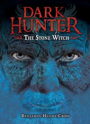 Book cover of The Stone Witch