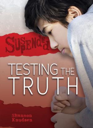 Cover of the book Testing the Truth by Tracy Newman